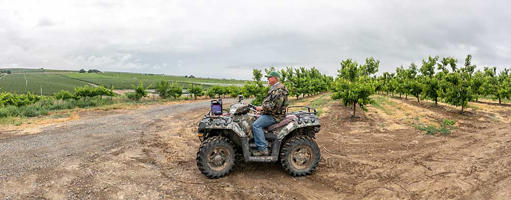 Fewel looks out across the Yakima Valley from his orchard. He’s been working to commercialize Zillazeus for nearly a decade. (TJ Mullinax/Good Fruit Grower)